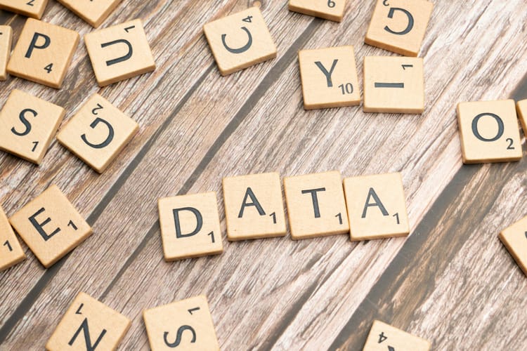 Open Data Is Not Open Government: Clarifying the Digital Service Act, 2025