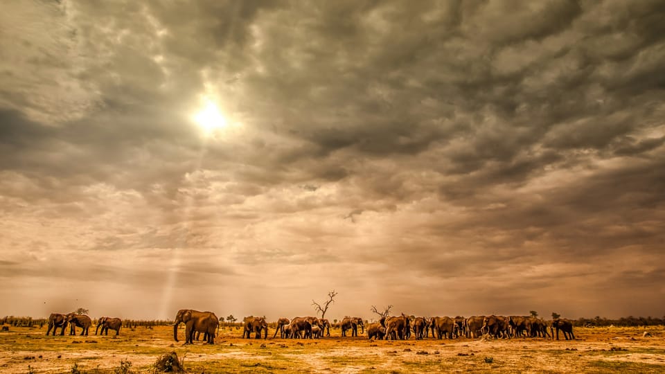 Understanding Open Data in the Context of Botswana’s Digital Services Act, 2025